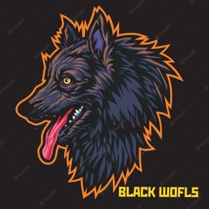 НОВЫЙ НАБОР В КЛАН ПРОЕКТА BLACK WOLFS!